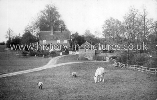 Brockells Farm, Great Parndon, Essex. c.1916
